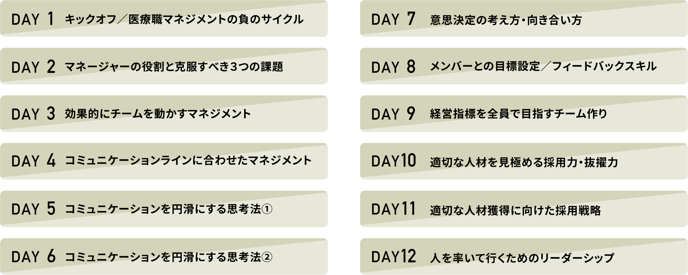 カリキュラム内容